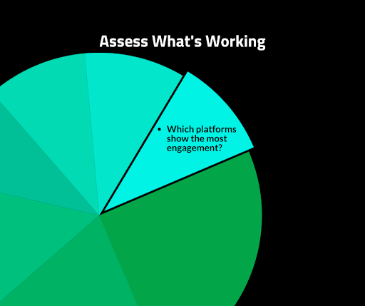 Assess-Whats-Working-Montessori-Marketing-Strategies